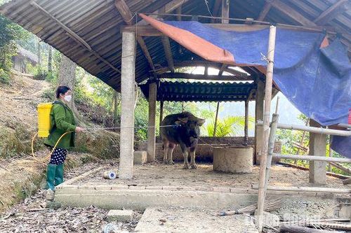 Tháng vệ sinh, tiêu độc, khử trùng bắt đầu từ 1-3