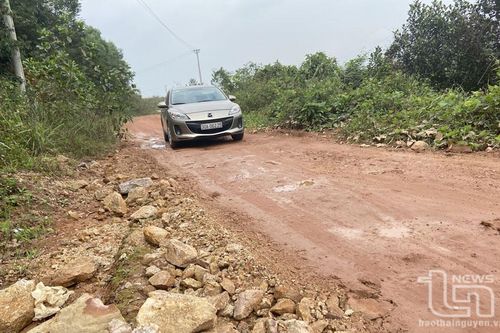 Hoàn trả đường: Doanh nghiệp sẵn sàng, chờ dân đồng thuận