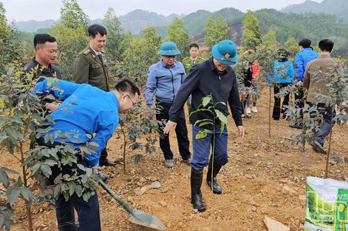 Tuổi trẻ Thái Nguyên lan tỏa Tết trồng cây