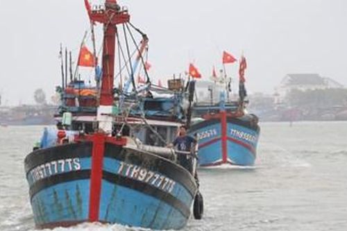 Ngư dân Phú Hải xuất quân vươn khơi