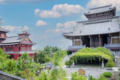 Ban Văn hóa GHPGVN TP.HCM sẽ khai giảng khóa 'Người dẫn chương trình Phật giáo' vào ngày 9-3