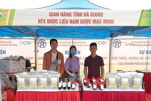 HTX dược liệu vùng cao phát huy thế mạnh cây thuốc bản địa Hà Giang