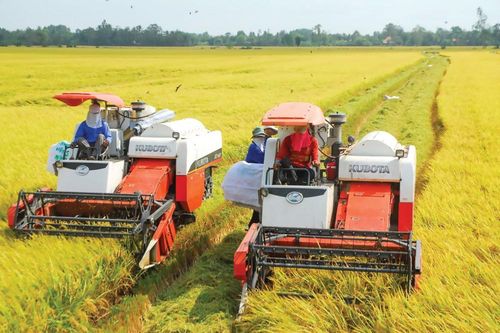 Khởi động dự án hợp tác giữa doanh nghiệp nông nghiệp Việt Nam - Australia