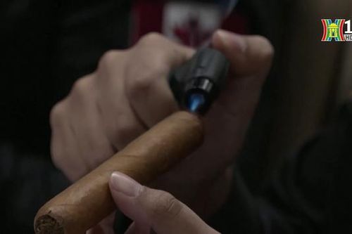 Hãng xì gà Habanos của Cuba đạt doanh số kỷ lục