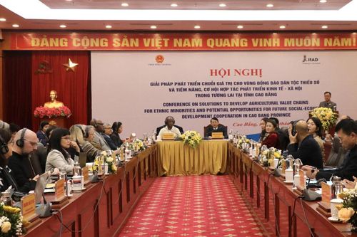 Hội nghị giải pháp phát triển chuỗi giá trị cho vùng đồng bào dân tộc thiểu số
