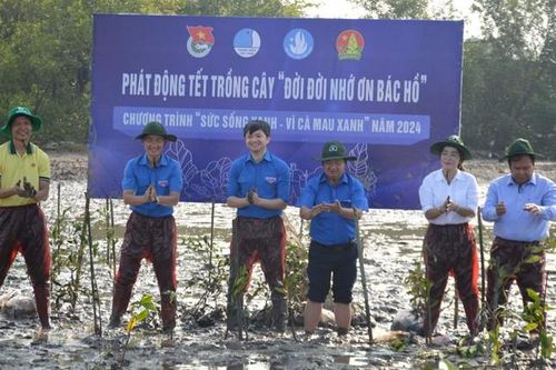 Tết trồng cây nhộn nhịp tại nhiều tỉnh thành, hưởng ứng Tháng Thanh niên 2024