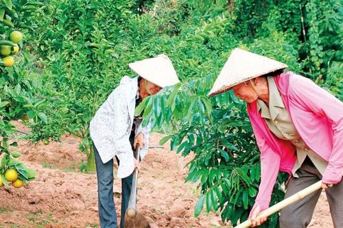 Tăng cường phối hợp trong xây dựng nông thôn mới