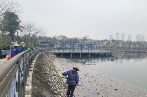 Cá chết hàng loạt, bốc mùi hôi ở Công viên Thiên văn học