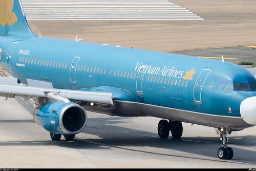 12 chiếc Airbus A321 của Vietnam Airlines phải dừng bay