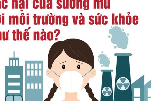 Tác hại của sương mù với môi trường và sức khỏe như thế nào?