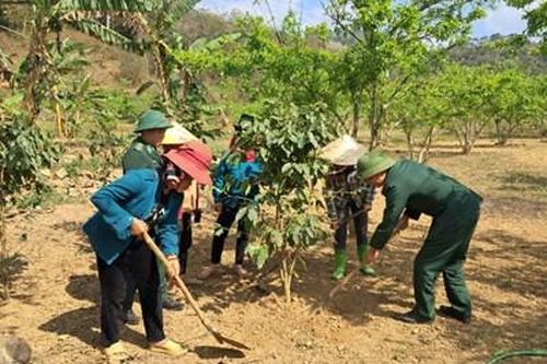 Giúp người dân vùng biên thoát nghèo