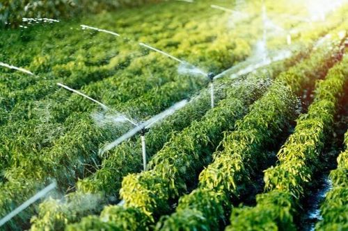 Làm mới các giải pháp để phát triển 'mỏ vàng xanh'