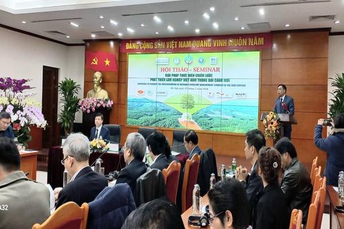 Kinh phí thực hiện Chiến lược Lâm nghiệp: Hơn 33.000 tỷ đồng từ tổ chức cá nhân tự đầu tư