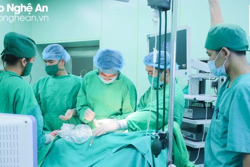 Nghệ An sắp xếp, giảm 222 đơn vị hành chính sự nghiệp công lập