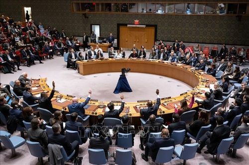 HĐBA LHQ nhóm họp về tình hình Syria