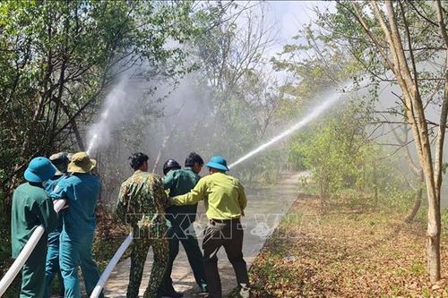 Bảo vệ Khu Bảo tồn loài - sinh cảnh Vườn chim Bạc Liêu trước nguy cơ cháy