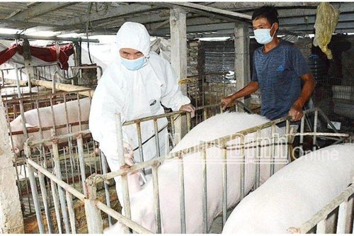 Đồng Nai: Thực hiện Kế hoạch phòng chống dịch bệnh gia súc, gia cầm, thủy sản trên địa bàn
