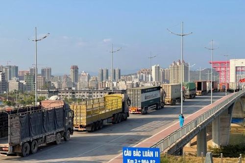 Quảng Ninh: Chi cục Hải quan Cửa khẩu Móng Cái, đồng hành cùng doanh nghiệp phát triển
