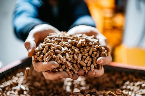 Cấp giấy phép môi trường cho nhà máy sản xuất viên nén chất đốt Wood Pellet