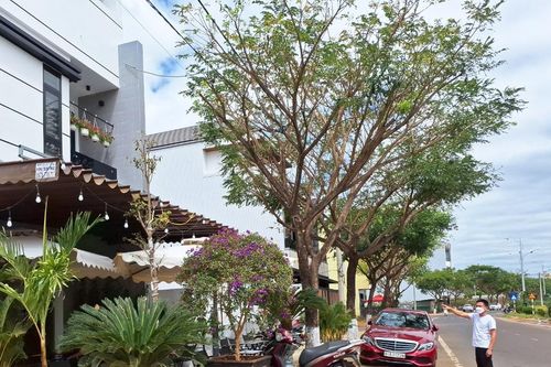 Người dân khu vực bờ kè suối Hội Phú mong đường có tên, nhà có số