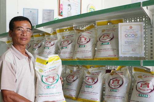 Nhiều giải pháp thúc đẩy Hợp tác xã phát triển