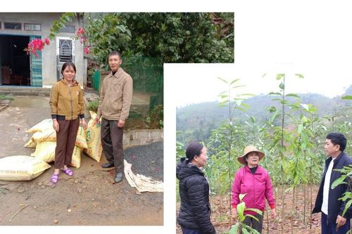 Giải pháp phát triển hội viên nông dân ở Mường Khương
