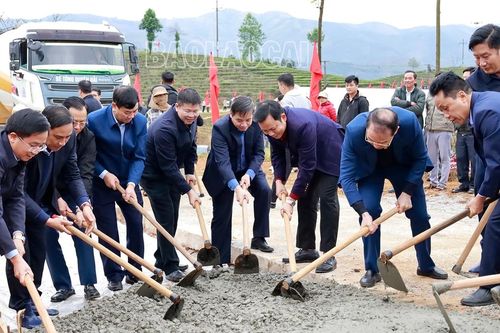 Ra quân thi đua xây dựng nông thôn mới và phát triển nông nghiệp hàng hóa năm 2024