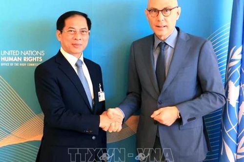 Luôn coi trọng và ủng hộ vai trò trung tâm của Liên hợp quốc
