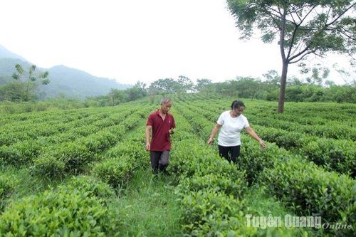 Tăng sức cạnh tranh của các làng nghề truyền thống