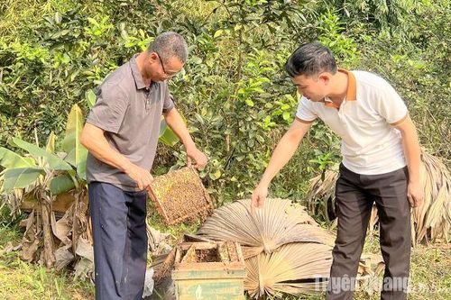 Không để nước đến chân mới nhảy