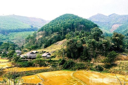 Chuyện hạ sơn ở Ngòi Cái