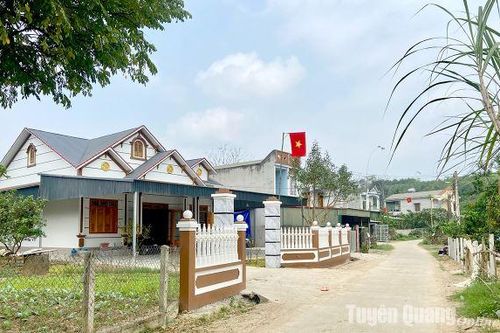 Sức vươn Xuân Vân