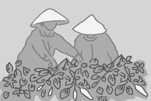 Mùa ớt the cay