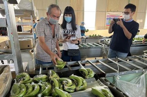 Một quỹ đầu tư ETF có thể mua gần 14 triệu cổ phiếu HAG
