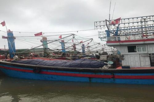 Nghệ An: Vi phạm về IUU, 3 tàu cá bị xử phạt