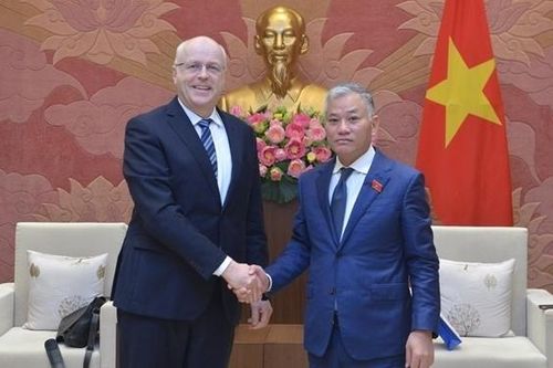 Phó Chủ nhiệm Ủy ban Đối ngoại Đôn Tuấn Phong tiếp Đại sứ Phần Lan