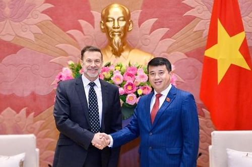 Chủ tịch Hội đồng Dân tộc Y Thanh Hà Niê Kđăm tiếp Đại sứ Australia