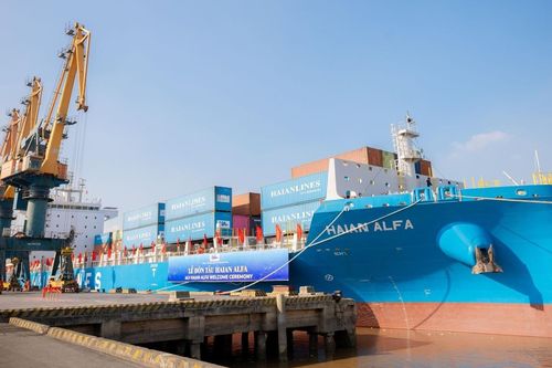HAH nêu thách thức của ngành vận tải biển năm 2024