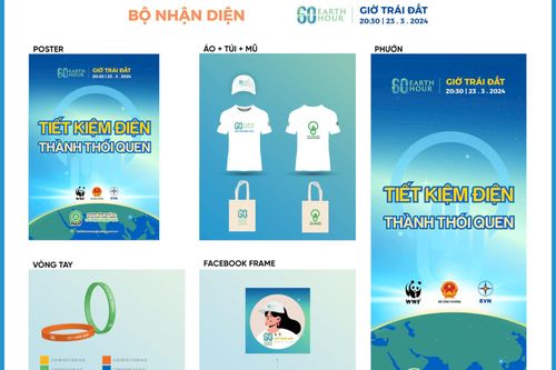 Hưởng ứng Giờ Trái đất 2024: Tiết kiệm điện - Thành thói quen