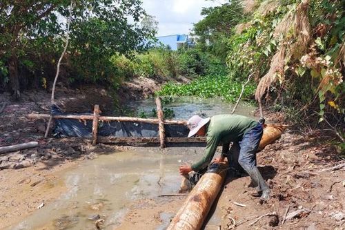 Hạn hán, xâm nhập mặn ở Sóc Trăng diễn biến phức tạp