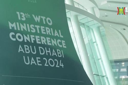 WTO thu hút FDI cho các nước đang phát triển