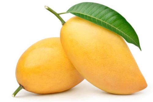 Quả xoài đực hay quả xoài cái ngon hơn?
