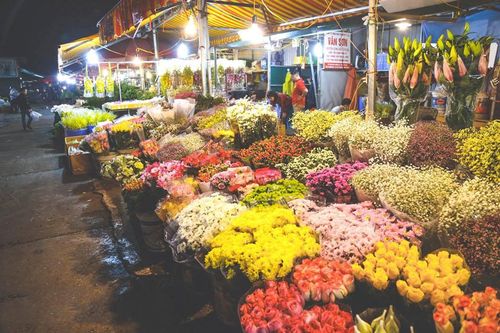 Chợ hoa lớn nhất miền bắc sẽ thành sản phẩm du lịch đêm