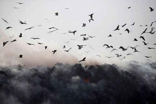 UNEP: Nhân loại đang 'đi lùi' trong 'cuộc chiến' chống rác thải