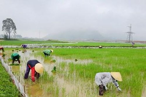 DIỄN ĐÀN LỜI HỨA VỚI HẬU PHƯƠNG: Phụ nữ Hưng Yên Nam tiếp sức thanh niên lên đường nhập ngũ
