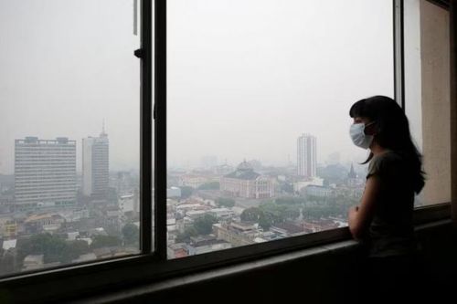 Cháy rừng, nhiều nước Nam Mỹ hứng chịu hàng triệu tấn khí thải carbon