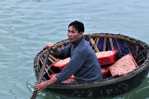 5-7 tiếng ra biển, ngư dân Hà Tĩnh kiếm hàng chục triệu đồng nhờ trúng đậm con ruốc