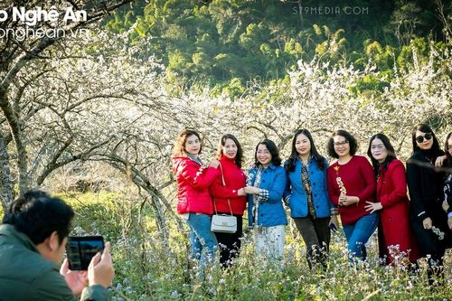 Ngành Du lịch của Nghệ An đón nhiều tín hiệu vui ngay từ đầu năm
