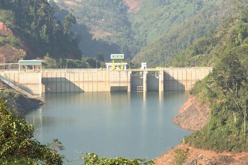 Quảng Nam: Thi công đường dây 110kV làm thiệt hại hơn 2ha rừng tự nhiên