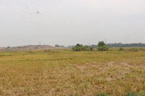 Nghệ An thu hồi và chuyển đổi hơn 70ha đất để triển khai dự án trọng điểm